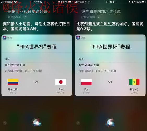 世界杯预测苹果最佳